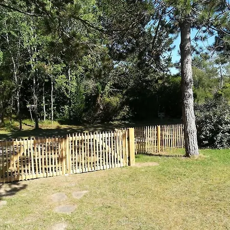 Charmante Entre Dunes, Forêt Et Mer Hébergement de vacances