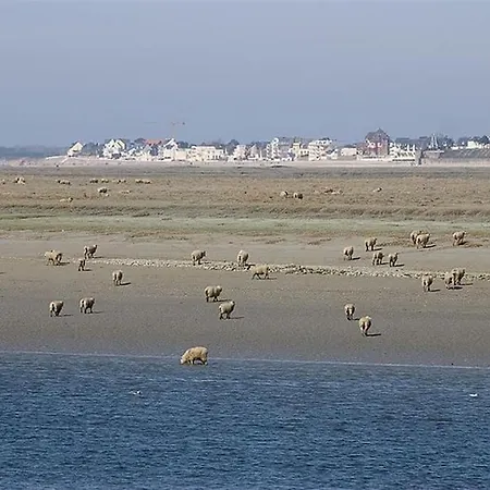 Charmante Entre Dunes, Forêt Et Mer