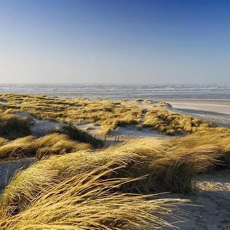 Charmante Entre Dunes, Forêt Et Mer Cucq