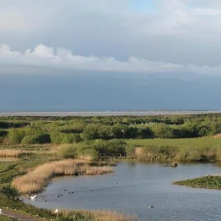 Hébergement de vacances Charmante Entre Dunes, Forêt Et Mer Cucq